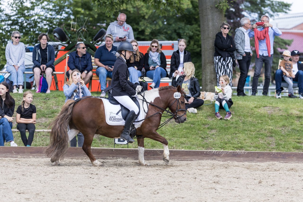 Bild 54 - Pony Akademie Turnier